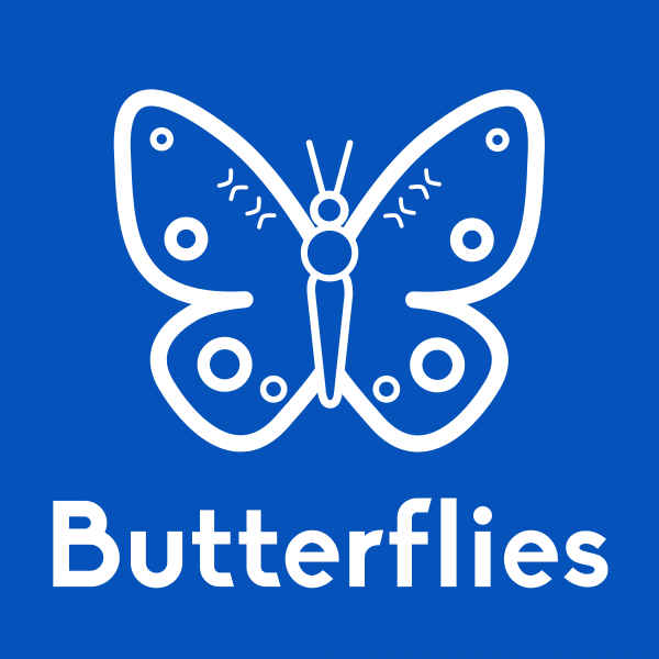 Butterfly Garden City Of Auburndale