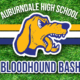 Logo of the Auburndale High School Bloodhounds with grassy background